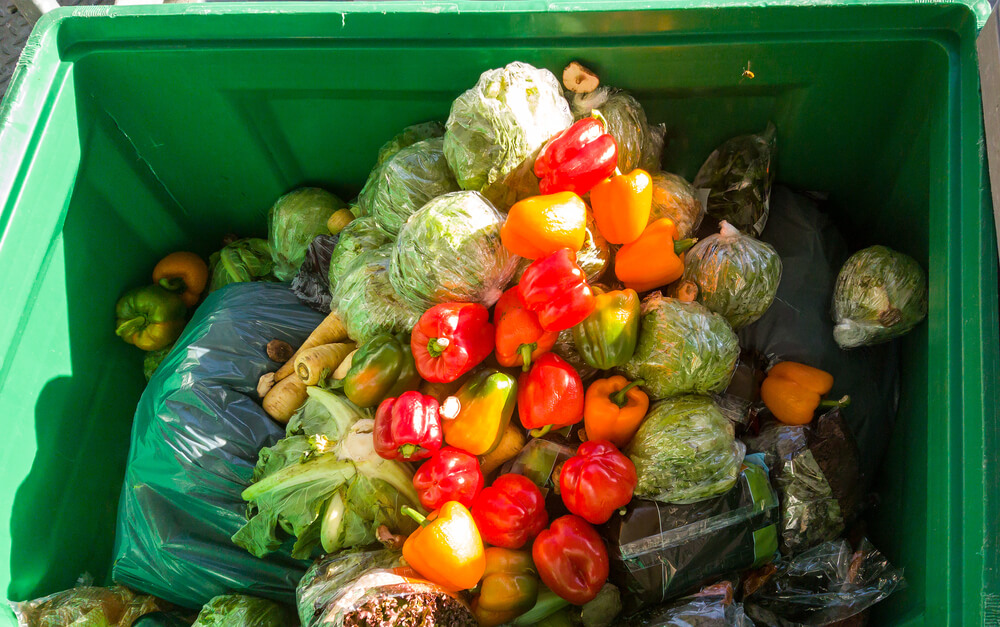 UK Food Waste Policy Changes